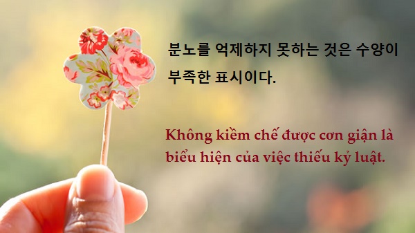 Những câu nói tức giận bằng tiếng Hàn Gallery 2