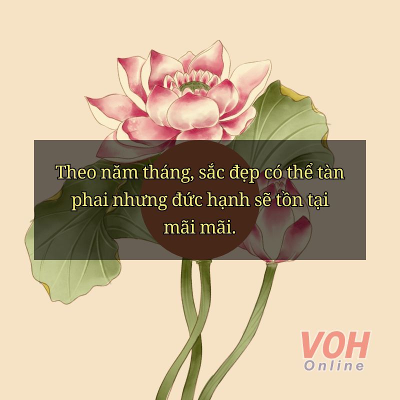 Những Câu Nói Hay Về Dục Vọng