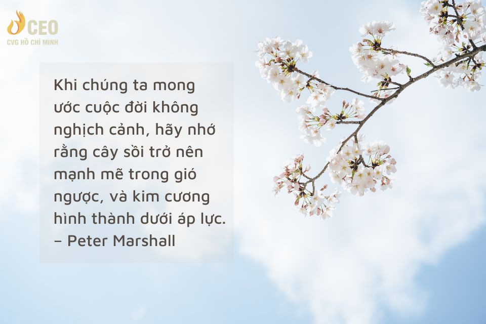 Những Câu Nói Hay Ngắn Gọn Về Cuộc Sống Gallery 2