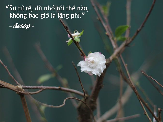 Những Câu Nói Hay Về Lòng Nhân Ái Gallery 2
