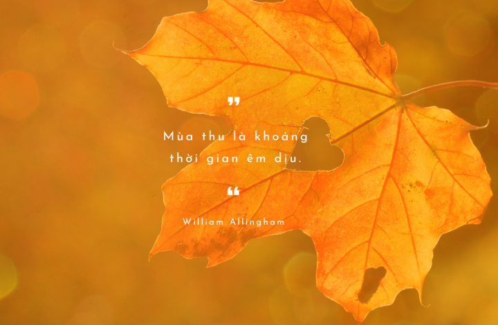 Những Câu Nói Hay Về Mùa Thu