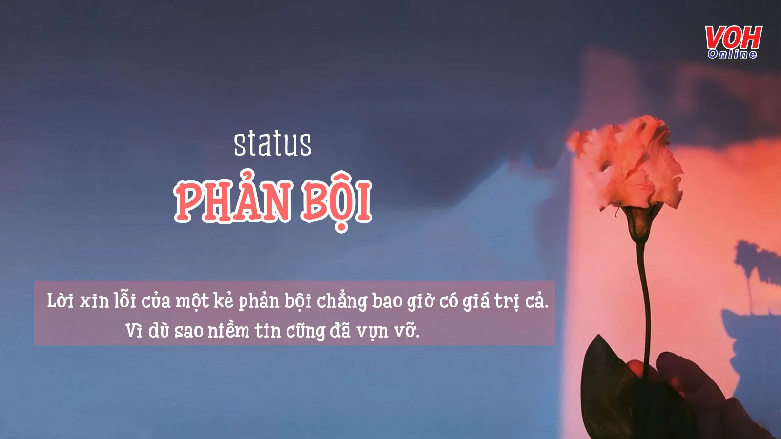 Những Câu Nói Hay Về Sự Phản Bội Trong Gia Đình Gallery 1