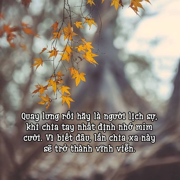 Những Câu Nói Đau Lòng Trong Tiểu Thuyết Gallery 1