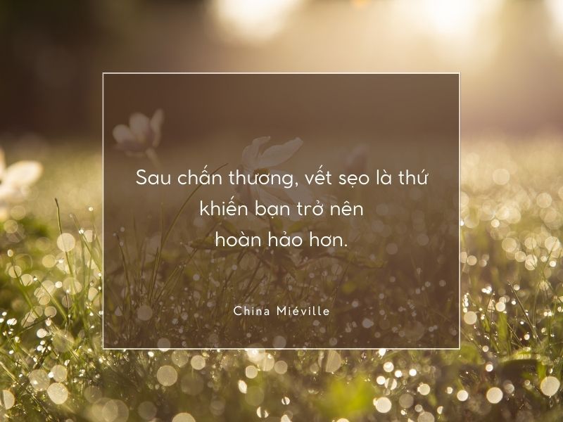 Những Câu Nói Chữa Lành Vết Thương Gallery 1