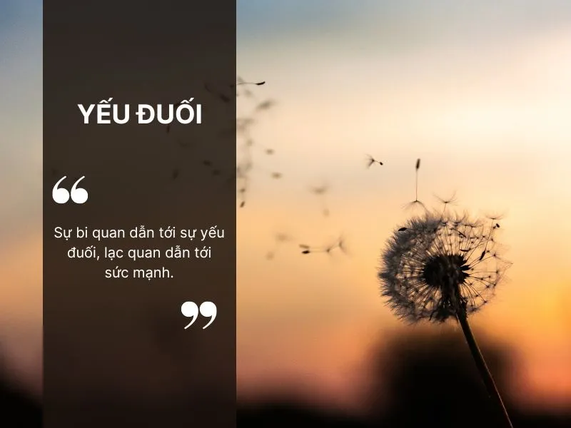 Những Câu Nói Hay Về Tính Cách Con Người Gallery 2