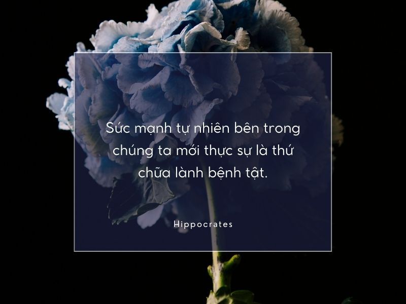 Những Câu Nói Chữa Lành Vết Thương Gallery 2