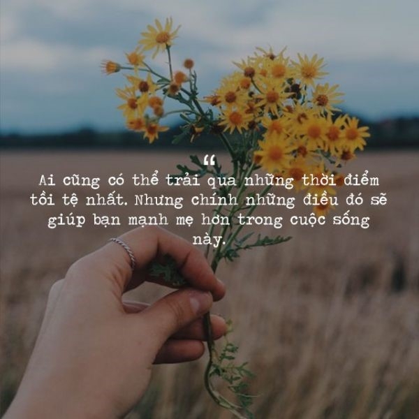 Những Câu Nói Hay Về Tinh Thần Lạc Quan