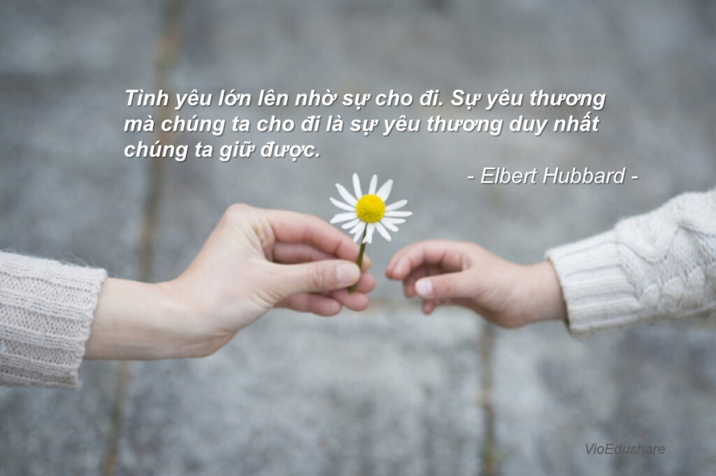 Những Câu Nói Hay Về Tình Yêu Thương Giữa Người Với Người