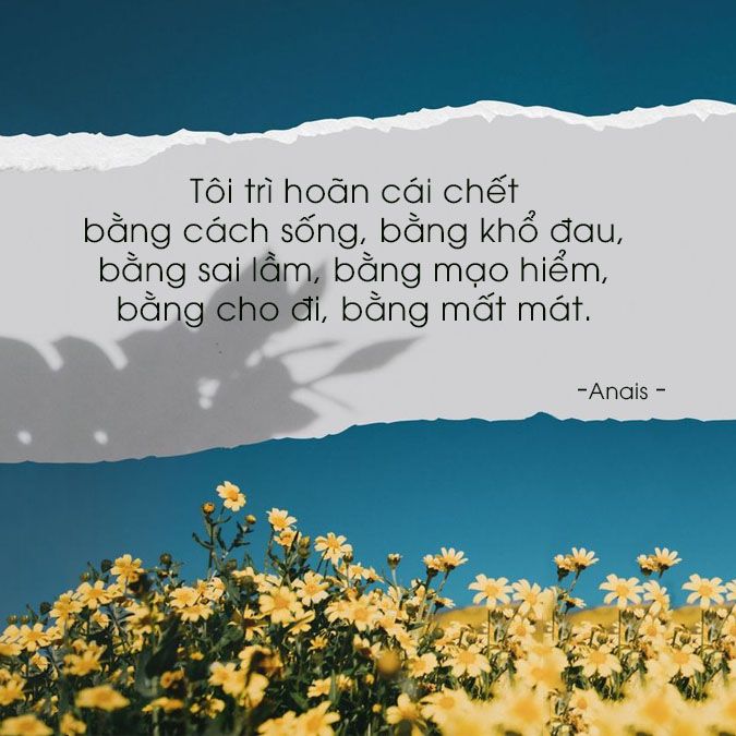 Những Câu Nói Hay Về Trải Nghiệm