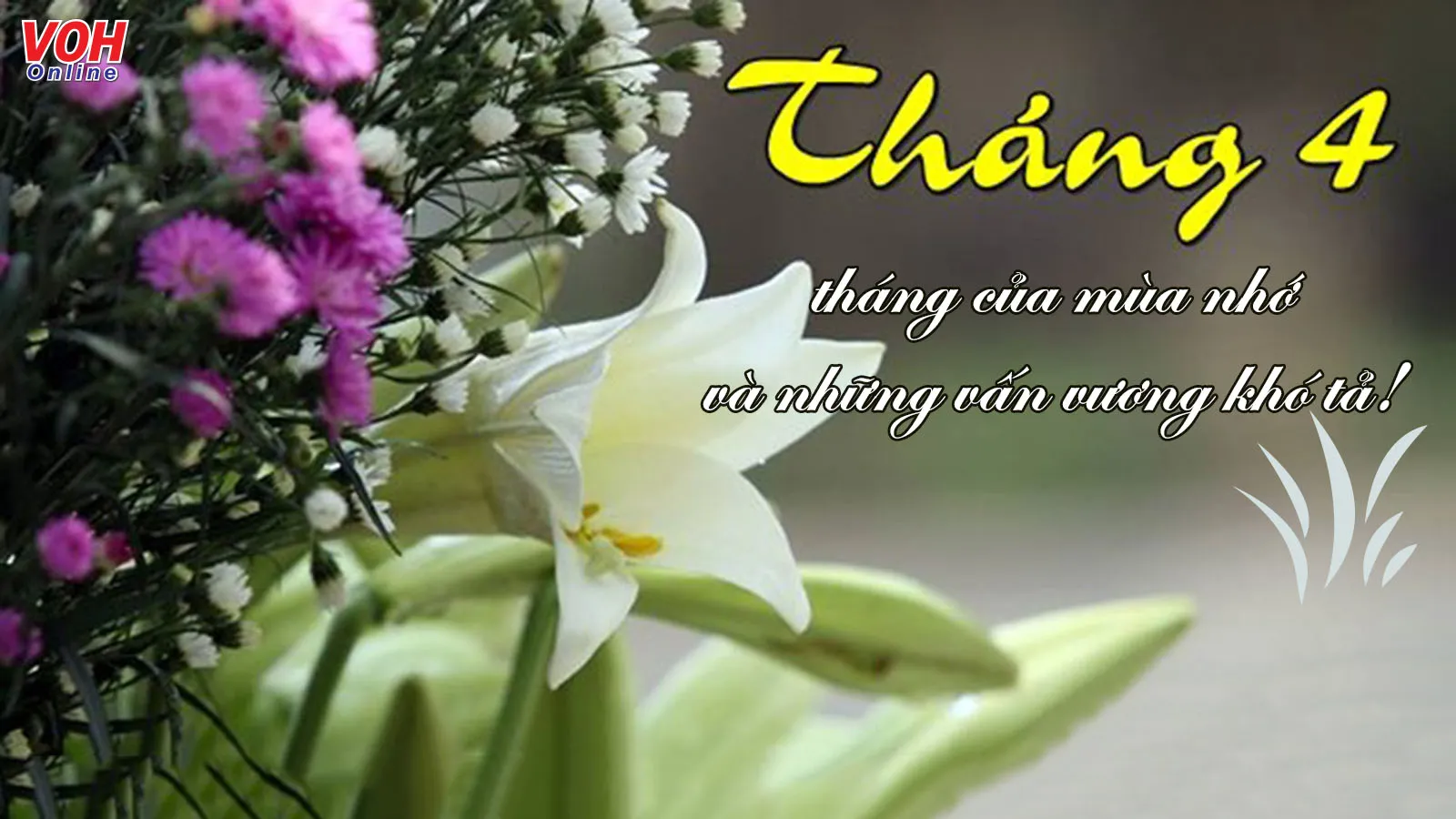 Những Câu Status Hay: Thu Thập Tuyệt Chiêu "Chinh Phục" Trái Tim Người Đọc Gallery 2