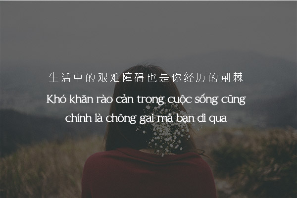 STT Hay Tiếng Trung: Tuyển tập những câu nói hay, ý nghĩa và cách sử dụng Gallery 2