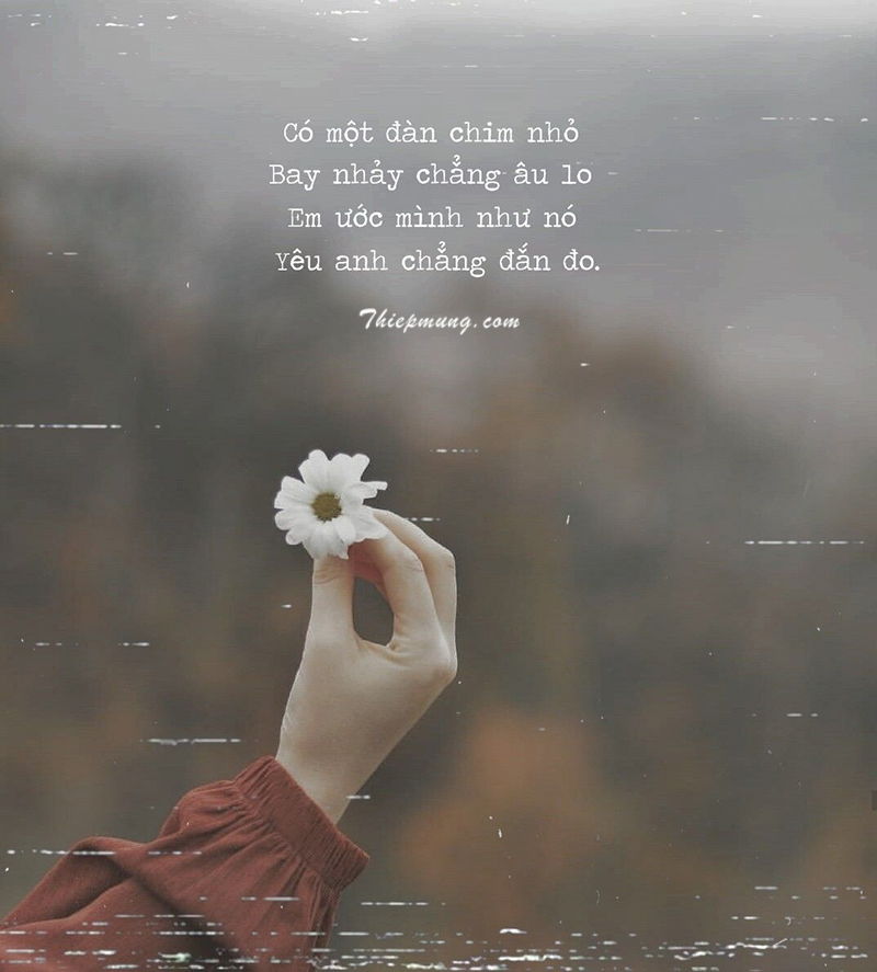 Thả Thính 20/10: Những Câu Nói Hay Nhất Để "Đốn Tim" Người Ấy Gallery 1