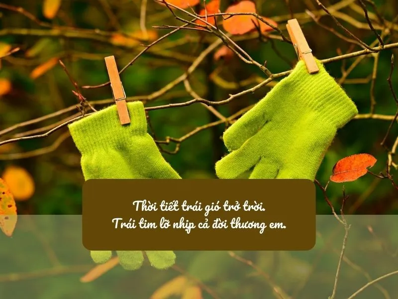 Thả Thính Trời Lạnh: Những Câu Nói Hay Nhất Khi Đông Về Gallery 1