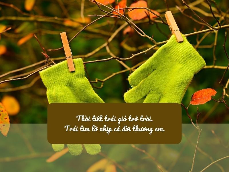 Thả Thính Trời Lạnh: Những Câu Nói Hay Nhất Khi Đông Về Gallery 2