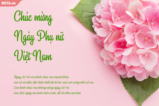 Những Câu Thơ Chúc Mẹ Ngày 20/10 Hay Nhất Gallery 2