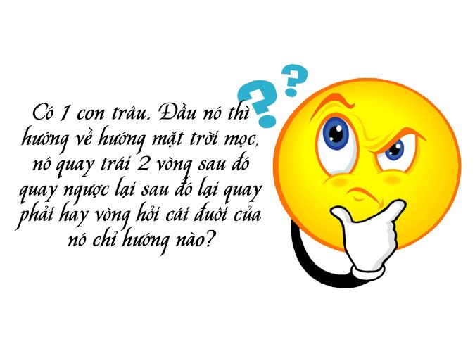 Những Câu Thơ Hại Não Khiến Bạn Phải Suy Nghĩ Mỏi Óc