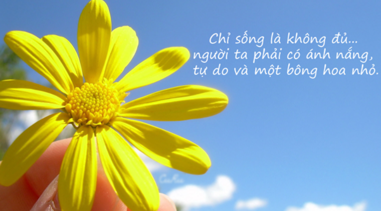 Những Câu Nói Hay Về Nắng Gallery 2