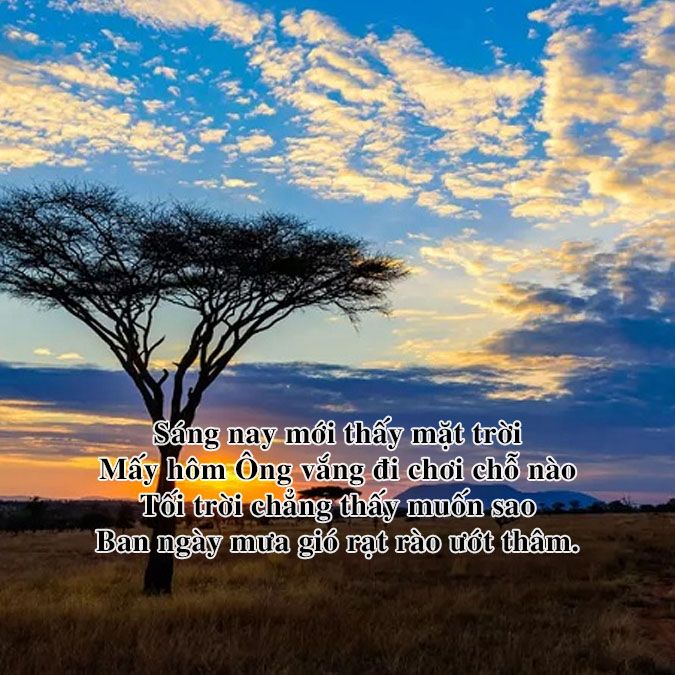 Những Câu Thơ Hay Về Mặt Trời