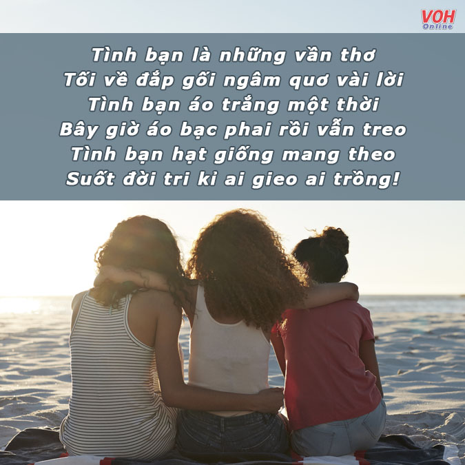 Những Câu Thơ Về Tình Bạn Ngắn