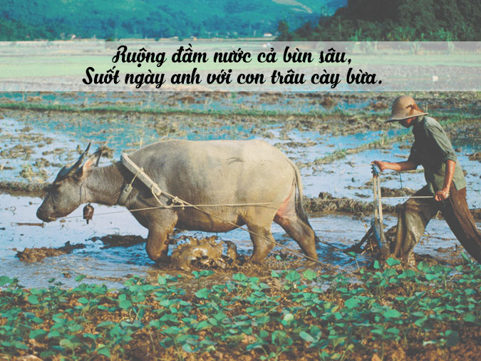 Tục Ngữ Về Lao Động Sản Xuất: Những Bài Học Quý Giá Từ Ông Cha Gallery 1