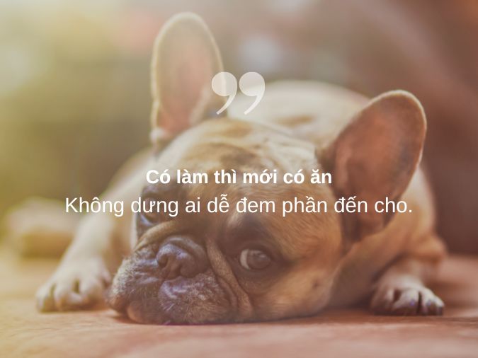 Những câu tục ngữ nói về sự lười biếng