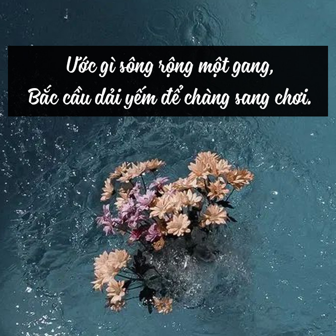 Những câu tục ngữ về tình yêu buồn Gallery 1