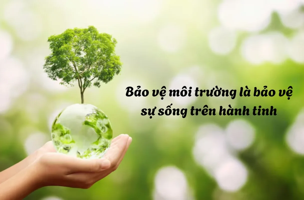 Những Câu Tuyên Truyền Bảo Vệ Môi Trường Hay Nhất