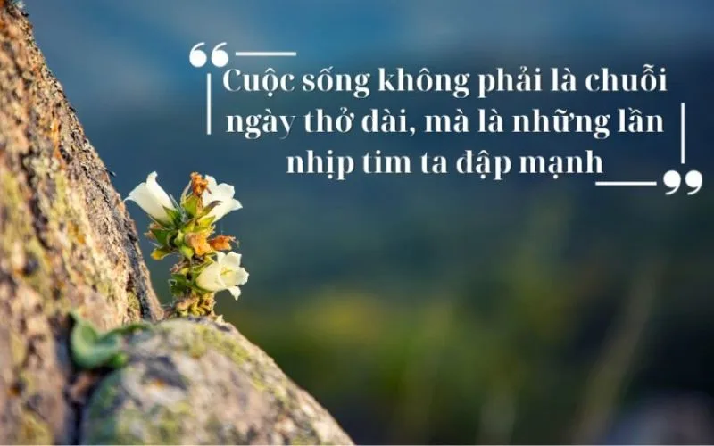 Châm ngôn sống tích cực ngắn gọn