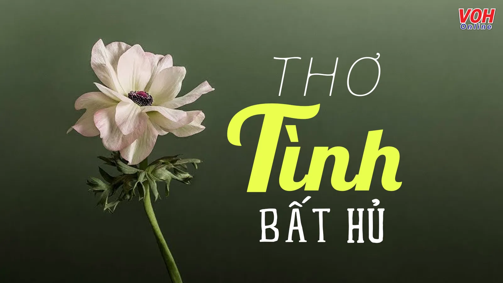 Thơ Tình Việt Nam: Từ Truyền Thống Đến Hiện Đại Gallery 2