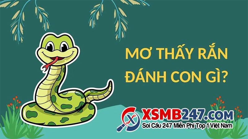 Nhìn Thấy Rắn Quấn Nhau Đánh Con Gì? Gallery 2