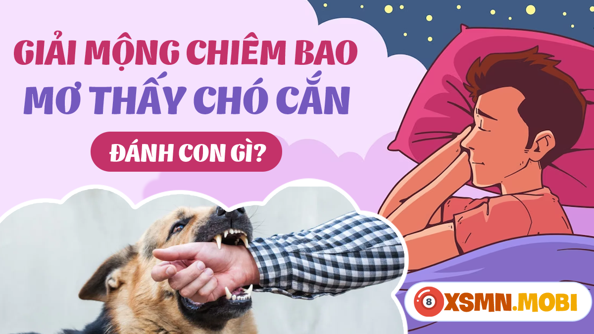Ngủ mơ bị chó cắn đánh con gì? Gallery 2