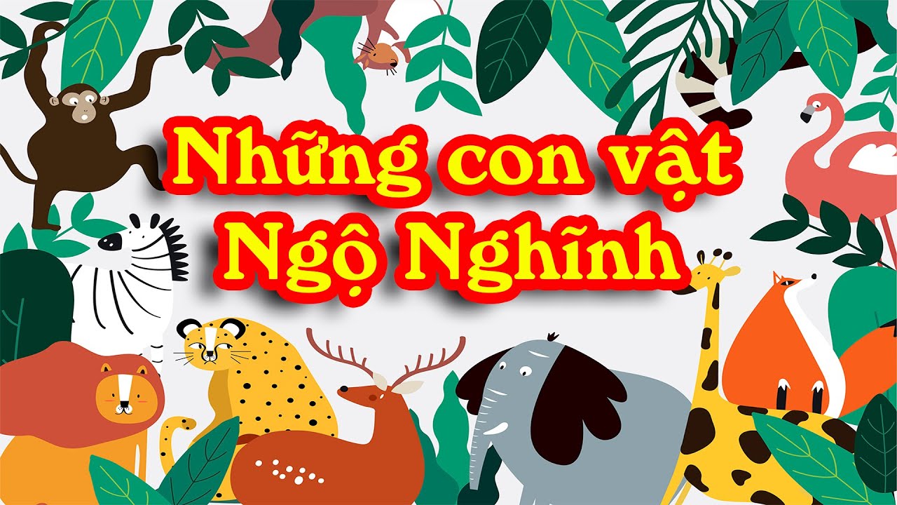 Những Con Vật Ngộ Nghĩnh Đáng Yêu Nhất Thế Giới