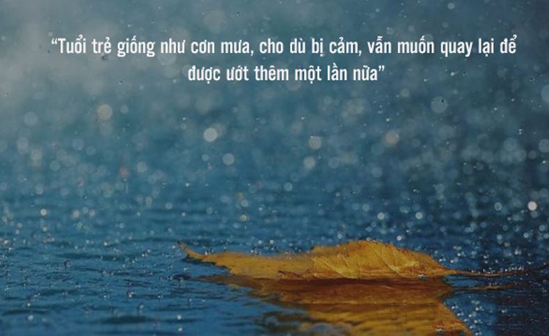 Tus Mưa - Những Cảm Xúc, Hình Ảnh Và Câu Chuyện Về Mưa Gallery 1