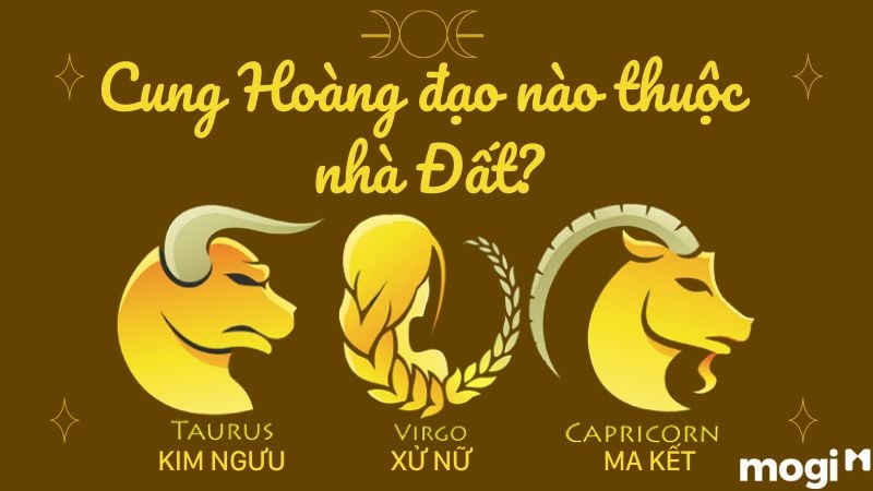 Thủ Lĩnh Nhà Đất Là Cung Nào? Gallery 1