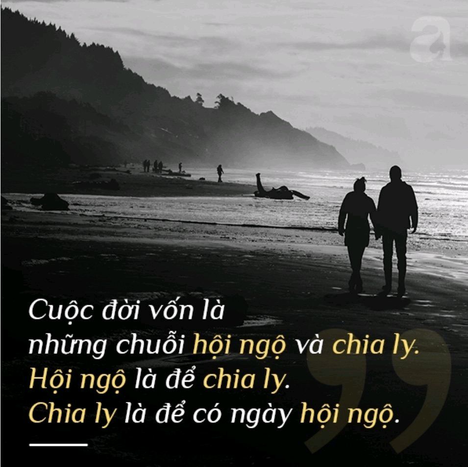 Những người chỉ gặp một lần trong đời Gallery 1