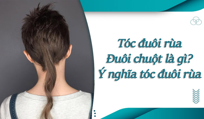 Tính Cách Người Có Tóc Đuôi Chuột: Thực Sự Như Thế Nào? Gallery 1