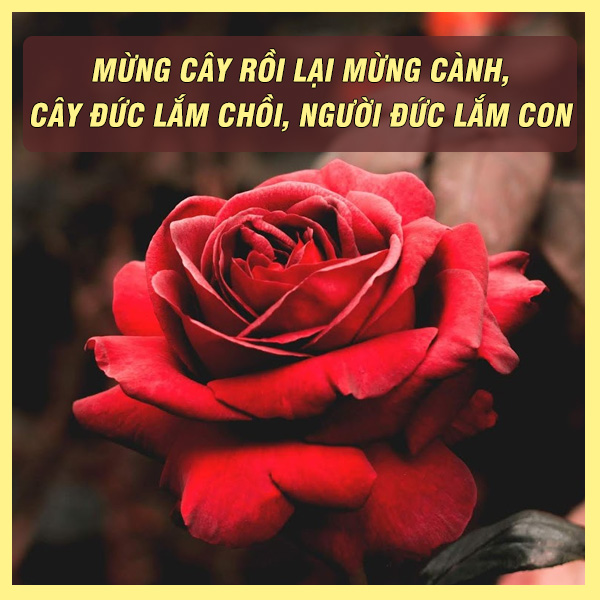 Danh Ngôn Về Lòng Nhân Ái Gallery 1