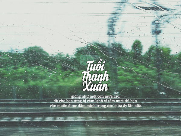 Thanh Xuân Như Một Cơn Mưa Rào Gallery 2