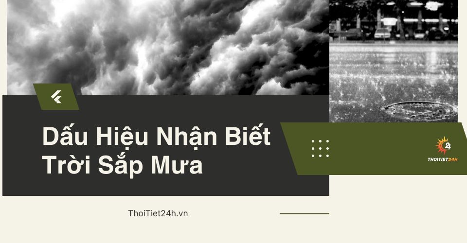 Tả một cơn mưa rào Gallery 1