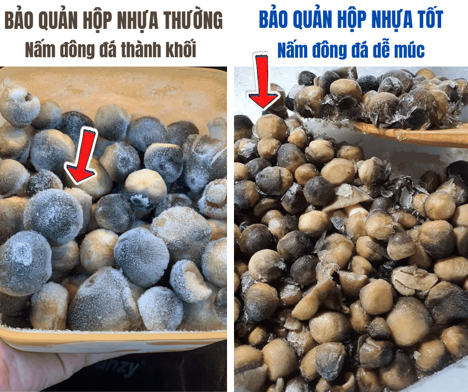 Nấm Rơm Để Được Bao Lâu? Gallery 2