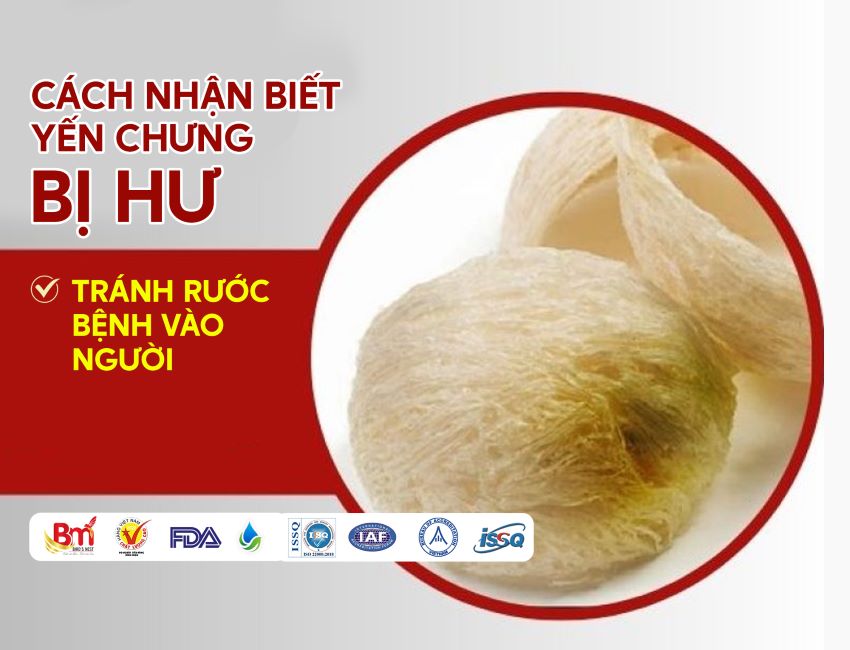 Cách Nhận Biết Yến Chưng Bị Hư Gallery 1