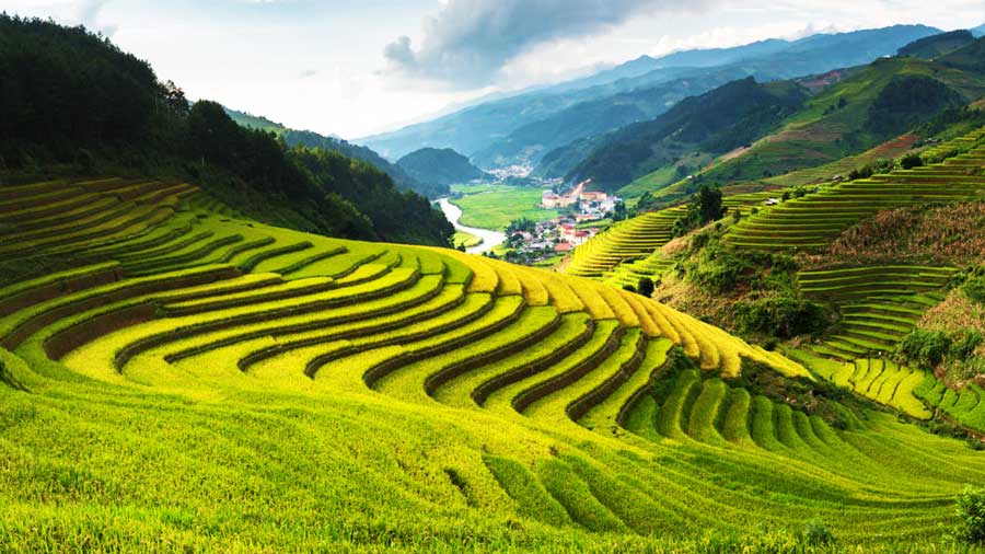Cảnh Đẹp Sapa - Thiên Đường Mây Trên Đỉnh Fansipan Gallery 1