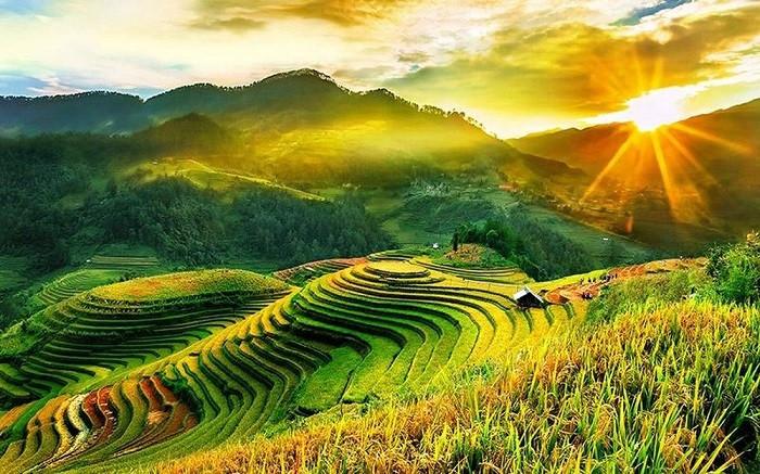 Cảnh Ruộng Bậc Thang Tuyệt Đẹp: Hình Ảnh, Địa Điểm Và Thông Tin Du Lịch Gallery 1