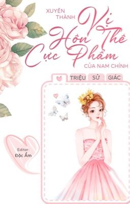Xuyên Thành Vị Hôn Thê Cực Phẩm Của Nam Chính Gallery 1