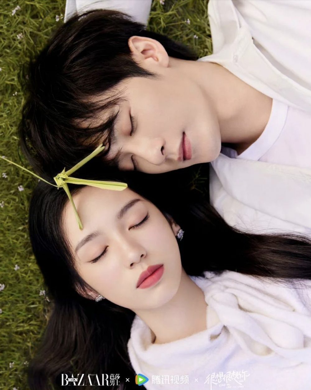 Rất Nhỏ Rất Nhỏ Anh Tập 1 Gallery 2