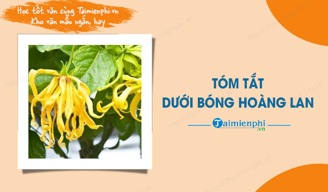 Tóm tắt tác phẩm Dưới bóng hoàng lan Gallery 2