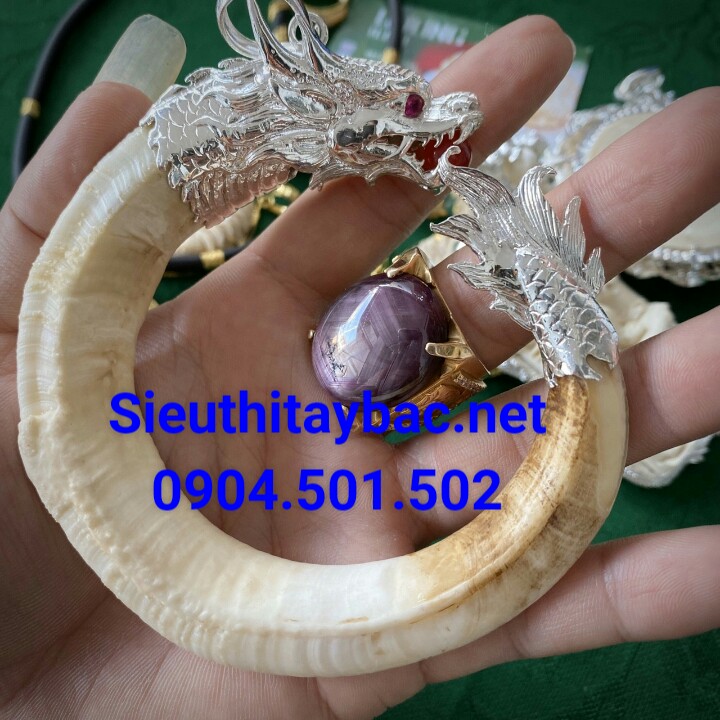 Nanh Lợn Rừng Bọc Bạc Gallery 1
