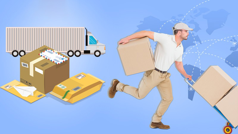 Tìm Việc Bốc Vác: Hướng Dẫn Tìm Kiếm Công Việc Phù Hợp Và Nơi Làm Việc Uy Tín Gallery 2