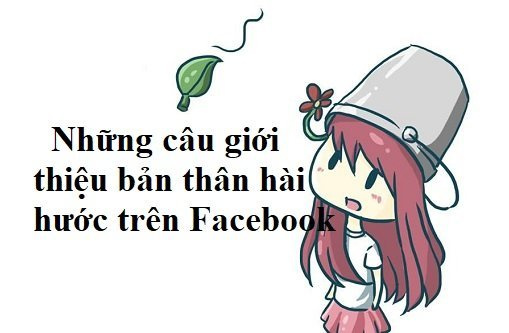 Giới thiệu bản thân hài hước: Tôi là ai và tại sao bạn nên quan tâm? Gallery 2