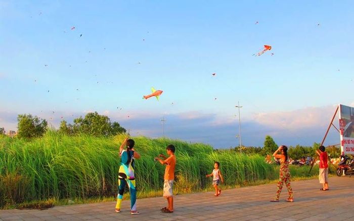 Cánh Đồng Diều Gò Vấp Gallery 2